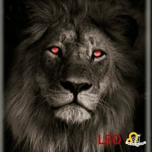 Meet your Posher, Ron